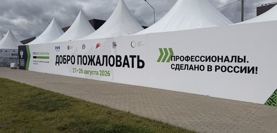 Финал чемпионата «Профессионалы»