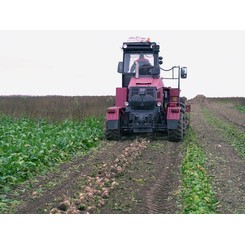 Продажа свеклоуборочных комбайнов КСН-6-3  и другой сельскохозяйственной техники в Московской области, Рязани, Калуге, Туле с доставкой в регионы РФ. Выгодные условия для фермеров. Сервисное обслуживание. Звоните!  ГК АгроТехноПарк
